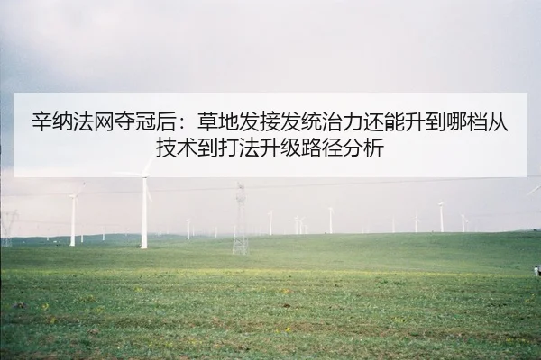 辛纳法网夺冠后：草地发接发统治力还能升到哪档从技术到打法升级路径分析 | nine game